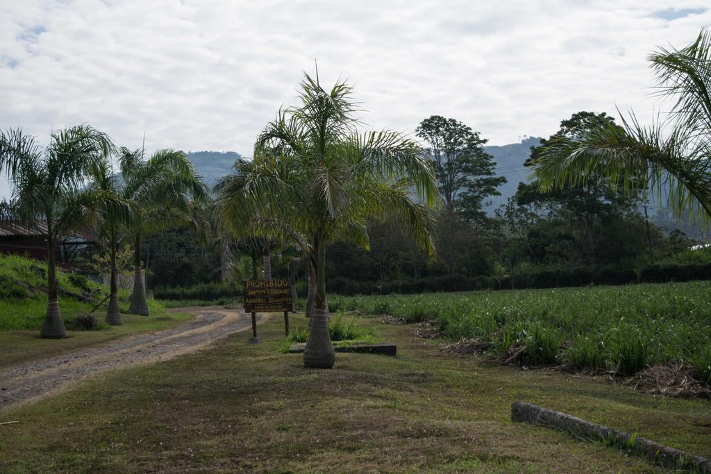 Agroturismo Finca Sermide Cachi Exterior photo